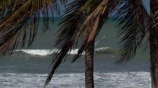 Clube Kauli Seadi - Gostoso