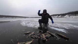 Первый лед в Якутии! Yakutia