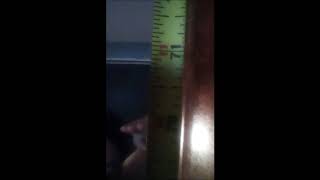 Measuring my true height