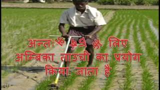 #krishi gyan जानें SRI - विधि के बारे में सिर्फ 2मिनट  में