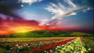 Rahi Moayeri .......... رهی معیری - لاله دیدم روی زیبای توام آمد بیاد