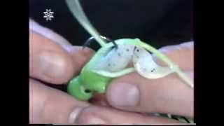 Рыбацкие самоделки 36.Актопус+твистер