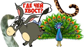 Где чей хвост? Развивающее видео для малышей.