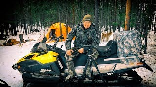 Ночное зрение по следам таежных зверей, 2 серия