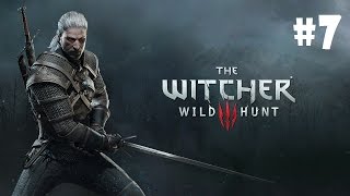 The Witcher 3: Les Trolls lol