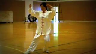 Wu / Hao Tai Chi  武／郝式太極