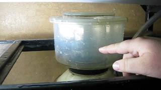 HOW TO: Set up/ tune in protein skimmer