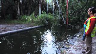 Preteen Slough #1