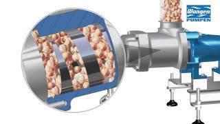 WANGEN Twin hygiënische schroefspindelpomp - animatie