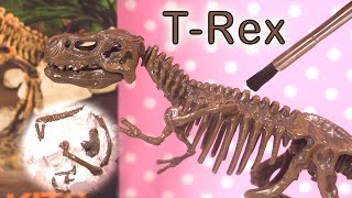 Tyrannosaure Rex Squelette Jeu de Fouilles Archéologiques – T-Rex Excavation Kit