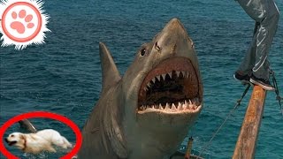 9 Dumbest Movie Theories Ever