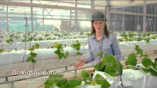 SAHARA FOREST PROJECT1