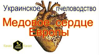 Украинское пчеловодство - Медовое сердце Европы & Ukrainian beekeeping - Honey heart of Europe