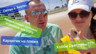 Карантин а мы на Океан искать Акул Осваиваем новые виды заработка Американское почтовое отделение