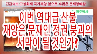 긴급속보:이번 역대급 산불 재앙은 문재인 정권 붕괴의 서막이 될 것인가?