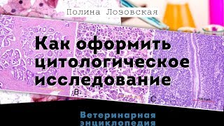 Оформление цитологических заключений