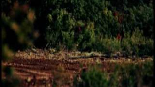KTM Dakar Test