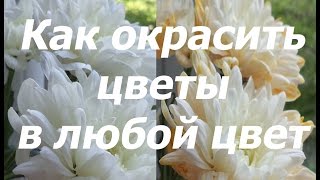 Как покрасить цветы