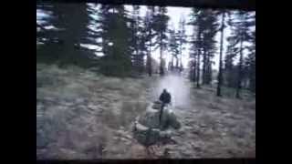 Лаги баги в DayZ Standalone