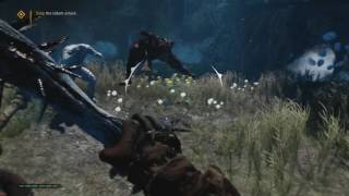 Far Cry Primal test