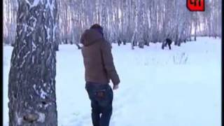 Над уральской тайгой кружат сияющие шары