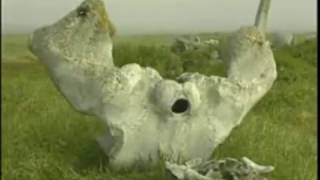 Документальный фильм 'Россия www.туризм-сибири.рф