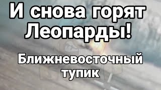 И СН0ВА Г0РЯТ ЛЕ0ПАРДЫ!