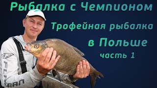 Рыбалка с чемпионом! Фидерная ловля трофейного леща в Польше!