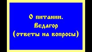 О ПИТАНИИ, МЯСОЕДЕНИЕ, ВЕГЕТАРИАНСТВО, СЫРОЕДЕНИЕ, ПРАНОЕДЕНИЕ, ЗОЖ (Трехлебов, Ведагор ) 2020,2021