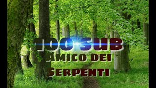 Una giornata secondo Amico dei Serpenti (SPECIALE 100 ISCRITTI 16 Video)