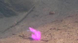 タイプⅠエロピンクゴーストブルーフラッシュ現象
