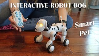 ? ROBOT DOG LEOKING INTERACTIVE REMOTE CONTROL SMART PET REVIEW ⭐