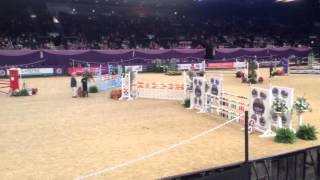 Harriette & Pondhead Dexter 128 Championship Hoys 2015