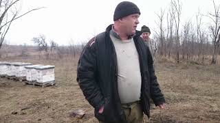 На пасеке у Андрея Осташева. Пасека 200+, точек 1,2. Часть 1. 06.01.2020