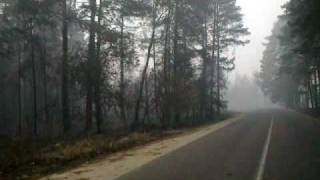 Лесной пожар в Луховицах - последствия 01.08.2010