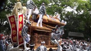 羽曳野市 白鳥神社例祭 古市だんじり祭2012 宮入り 各町の口上、俄 [HD版]