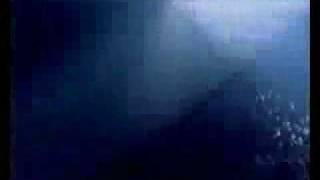 TSVETIKOV & Amatory - Sneg v adu (E-dnb rmx)