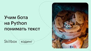 Учим бота понимать текст. Машинное обучение на Python. Интенсив по Python
