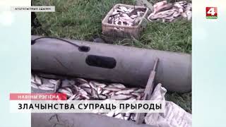 Быховские браконьеры ловили на электроудочку  [БЕЛАРУСЬ 4| Могилев]