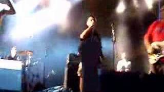 Dr Calypso - Brigadistes Internacionals