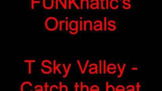 T Sky Valley - Catch the beat