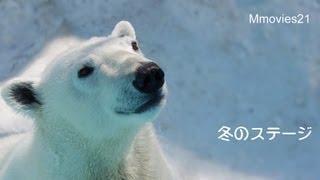 冬のステージ〜ウィンターアイラ〜Polar Bear,Aira