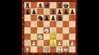 Lehrreiche Schachpartien 5. Sizilianische Verteidigung. Eugen Grinis. Schach
