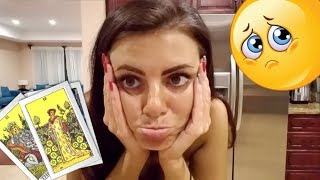 I GOT MY TAROT CARDS TO FIND MY MISSING PARROT, PICASSO | MUSTACHE PARAKEET