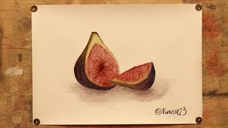 Инжир акварелью