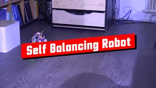 Inside an Autonomous Self Balancing Robot (Re-published #35)