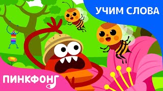 Природа | Учим слова вместе! | Русский | Пинкфонг Песни для Детей