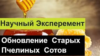 №84 Обновление Старых Пчелиных Сотов Пчеловодство.Пасека