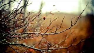 Chris Spheeris - Eros.  Музыка души...