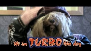 Very Funny Dog, Turbo, if you like Ultimate Dog Tease & Fenton the dog or Ginger the dog, Funny dogs